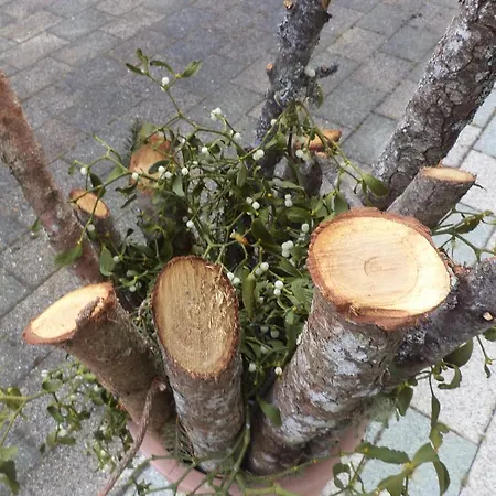 Eberharter Apartman *