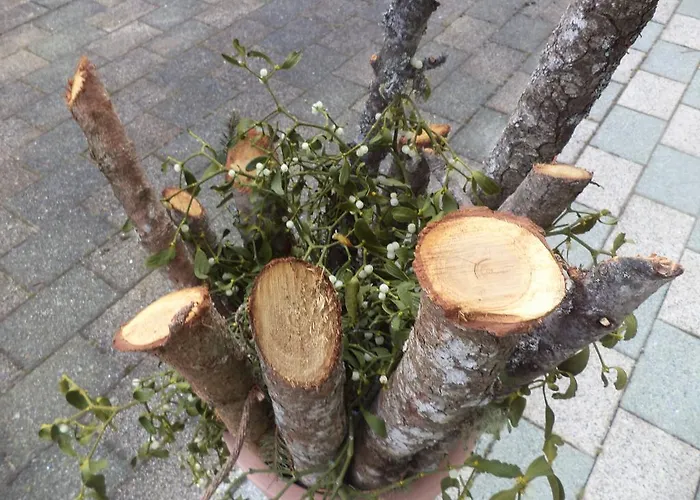 Eberharter Appartamento *