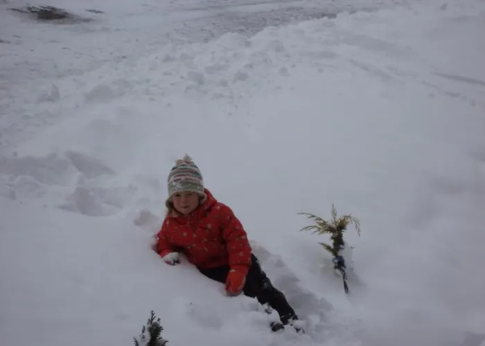 Appartamento Eberharter Finkenberg